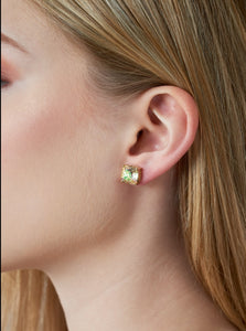 Theia Jewelry swarovski rock crystal statement stud earrings-